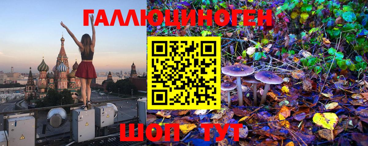 Псилоцибиновые грибы мицелий Рассказово